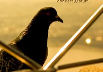 PL Mafia (CAN) + Oz One