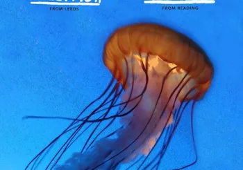 Jake & the Jellyfish (UK) + Bear & the Woods (UK)