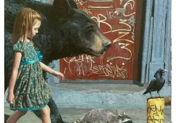 MoHawk + Tiroflan Baldaquin