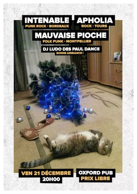 Intenable + Apholia + Mauvaise Pioche + Ludo Des Jeunes