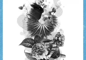 Quentin Sauvé + Grande + Par Le Gast Va Grantaleure