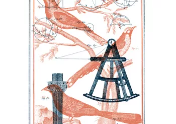 Pamplemousse (RE) + La Mort Ou Tchitchi + Siryus