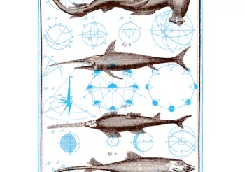 [ANNULÉ] Forest Pooky + Seb and The Rhââ Dicks + De Marbre