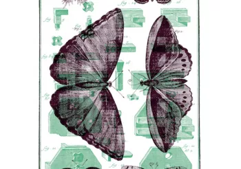 [ANNULÉ] Direct Hit (USA) + Apholia