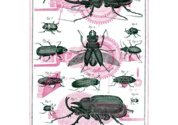 [ANNULÉ] Mikey Erg (USA) + Komodo 3000