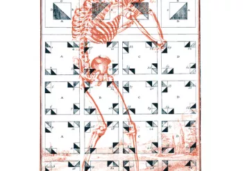 [ANNULÉ] Orbel + Joanne O Joan + Back And Forth