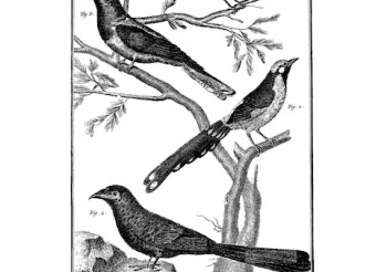 Heavy Heart + Veik + Komodo3000