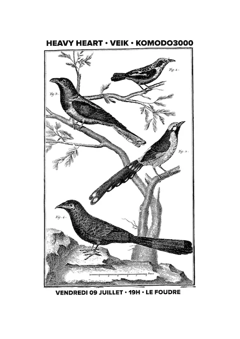 Heavy Heart + Veik + Komodo3000