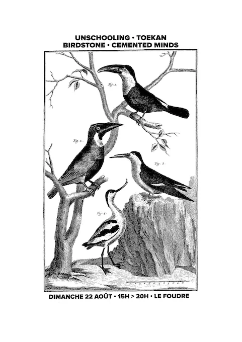 Unschooling + Toekan + Cemented Minds + Birdstone