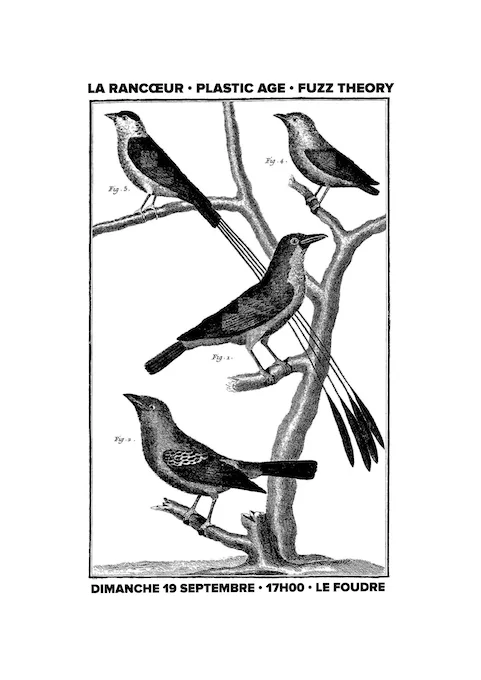 La Rancoeur + Fuzz Theory