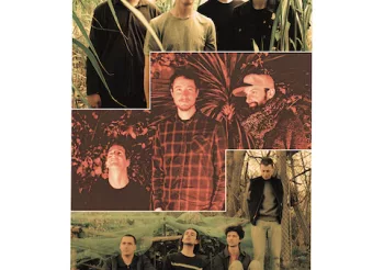 Cosse + Pink Flamingos + Beachtape (UK)