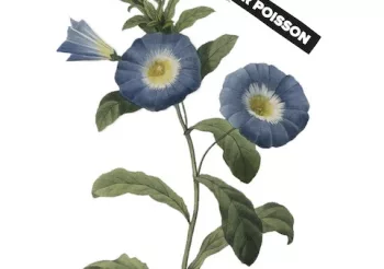 Magnetic Spacemen (NL) + Shaker Poisson