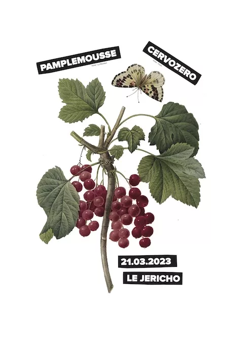 Pamplemousse (RE) + cervozero