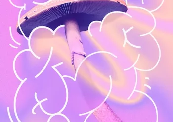 Goatzilots : Péniche + Toekan + Sweetpeas